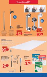 Catálogo Lidl | de Bazar Página 11