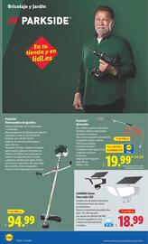 Catálogo Lidl | de Bazar Página 12