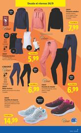 Catálogo Lidl | de Bazar Página 19