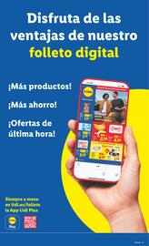 Catálogo Lidl | de Bazar Página 31