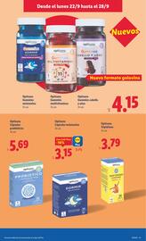 Catálogo Lidl | de Bazar Página 5