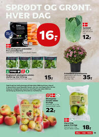SuperBrugsen tilbudsavis uge 38 Side 13