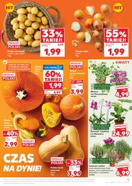 Kaufland gazetka tydzień 38 Strona 15