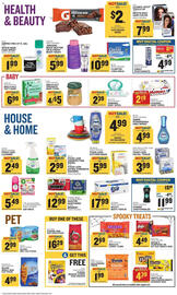 Food Lion weekly ad week 38 Page 13