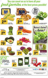 Food Lion weekly ad week 38 Page 14
