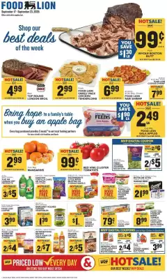 Food Lion weekly ad