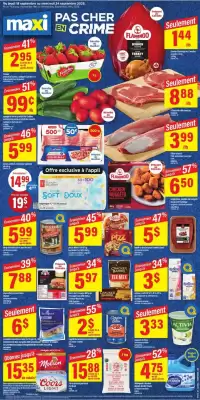 Maxi flyer (valid until 25-09)
