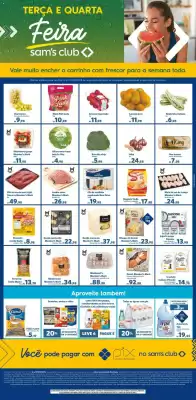Folheto Sam's Club (válido até 17-09)