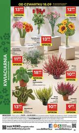 Delikatesy Centrum gazetka tydzień 38 Strona 52
