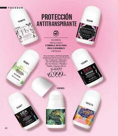 Catálogo Violetta Fabiani Página 40