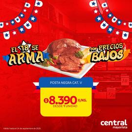 Catálogo Central Mayorista Página 6