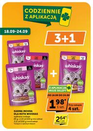 ABC gazetka Strona 7