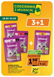 ABC gazetka Strona 8