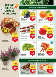 MPreis Flugblatt woche 39 Seite 2