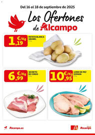 Folleto Alcampo Página 1