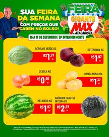 Encarte Max Atacadista Página 2