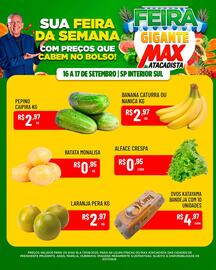Encarte Max Atacadista Página 3