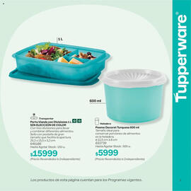 Folleto Tupperware semana 38 Página 2