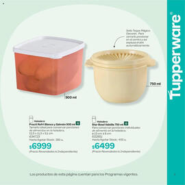 Folleto Tupperware semana 38 Página 3