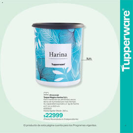 Folleto Tupperware semana 38 Página 4