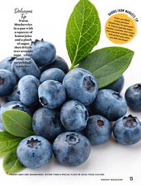 HARRIS FARM catalogue Page 13