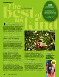 HARRIS FARM catalogue Page 28