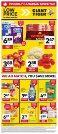Giant Tiger flyer week 38 Page 1