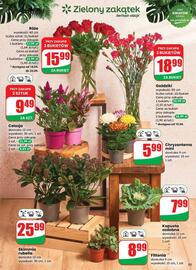 Dino gazetka tydzień 38 Strona 53