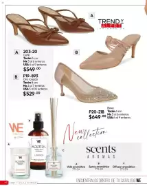 Catálogo Cklass Página 231