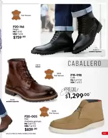 Catálogo Cklass Página 360