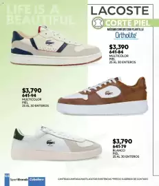 Catálogo Cklass Página 194