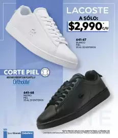 Catálogo Cklass Página 196