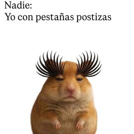 Catálogo Sally Beauty Página 2