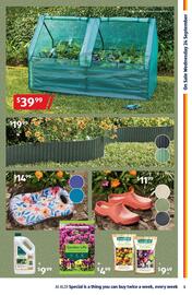 ALDI catalogue week 39 Page 3