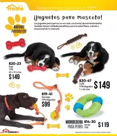 Catálogo Cklass Página 85