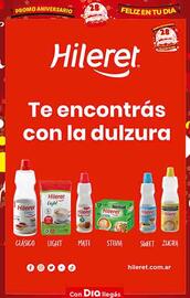Folleto Supermercados DIA semana 38 Página 16
