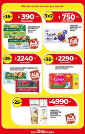 Folleto Supermercados DIA semana 38 Página 43