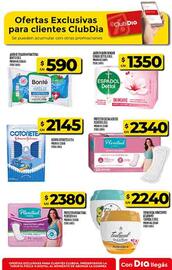 Folleto Supermercados DIA semana 38 Página 71