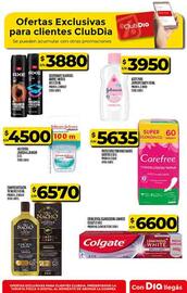 Folleto Supermercados DIA semana 38 Página 73
