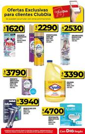 Folleto Supermercados DIA semana 38 Página 74