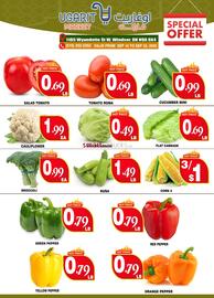 Ugarit Market flyer Page 2