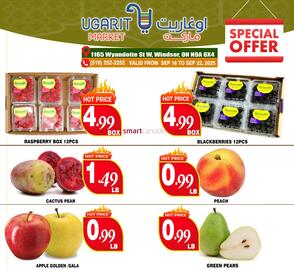 Ugarit Market flyer Page 3