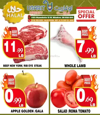 Ugarit Market flyer (valid until 27-09)