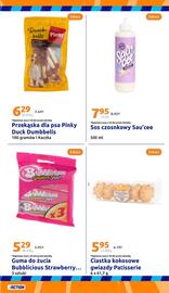 Action gazetka tydzień 38 Strona 23