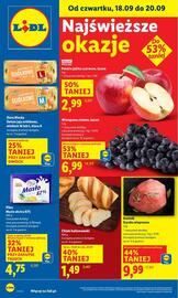 Lidl gazetka Strona 1