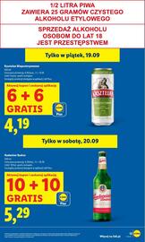 Lidl gazetka Strona 13