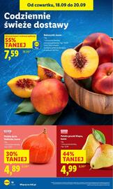 Lidl gazetka Strona 18