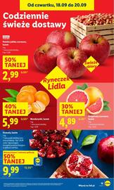 Lidl gazetka Strona 19