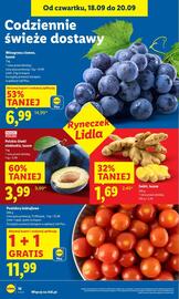 Lidl gazetka Strona 20