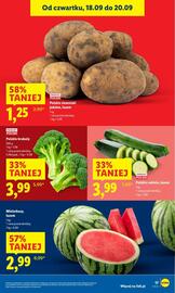 Lidl gazetka Strona 21